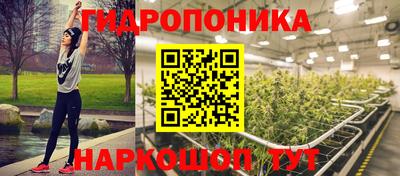 PSILOCYBIN Изобильный