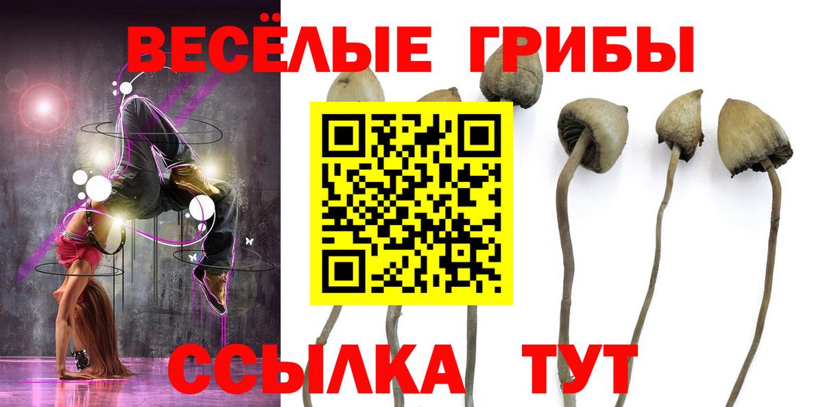 Балашов  Галлюциногенные грибы Psilocybe  Псилоцибиновые грибы Cubensis  купить наркоту  Вход с VPN 